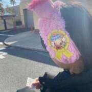 ヒメ日記 2025/05/29 10:01 投稿 リンネ Club Hearts