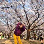 ヒメ日記 2025/06/04 15:21 投稿 リンネ Club Hearts