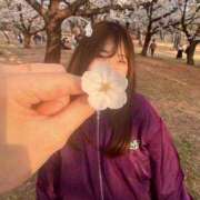 ヒメ日記 2025/06/14 10:02 投稿 リンネ Club Hearts