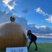 ヒメ日記 2025/06/15 10:02 投稿 リンネ Club Hearts