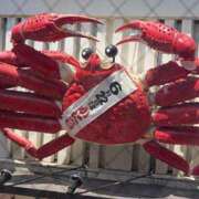 ヒメ日記 2025/06/22 10:02 投稿 リンネ Club Hearts