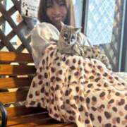 ヒメ日記 2025/08/26 14:00 投稿 リンネ Club Hearts