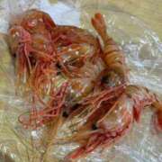 ヒメ日記 2025/10/04 12:02 投稿 リンネ Club Hearts