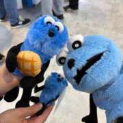 ヒメ日記 2025/11/13 08:33 投稿 リンネ Club Hearts