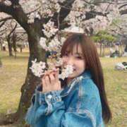 ヒメ日記 2025/11/19 14:01 投稿 リンネ Club Hearts