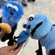 ヒメ日記 2026/01/19 16:00 投稿 リンネ Club Hearts