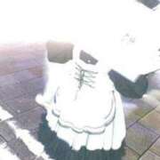 ヒメ日記 2026/01/31 16:01 投稿 リンネ Club Hearts