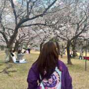 ヒメ日記 2026/03/15 16:01 投稿 リンネ Club Hearts