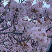 ヒメ日記 2026/03/16 16:01 投稿 リンネ Club Hearts