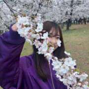 ヒメ日記 2026/03/17 08:27 投稿 リンネ Club Hearts