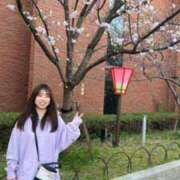 ヒメ日記 2026/03/27 10:02 投稿 リンネ Club Hearts