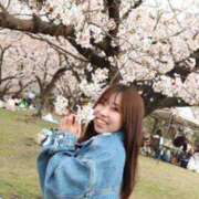 ヒメ日記 2026/04/05 08:02 投稿 リンネ Club Hearts