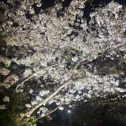 ヒメ日記 2026/04/08 17:01 投稿 リンネ Club Hearts