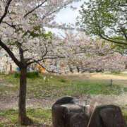 ヒメ日記 2026/04/09 14:01 投稿 リンネ Club Hearts