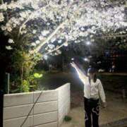 ヒメ日記 2026/04/10 08:12 投稿 リンネ Club Hearts