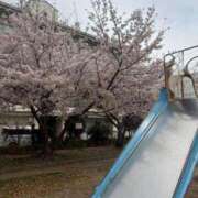 ヒメ日記 2026/04/10 10:03 投稿 リンネ Club Hearts