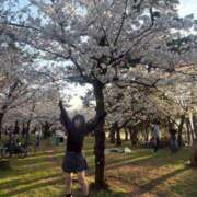 ヒメ日記 2026/04/11 10:03 投稿 リンネ Club Hearts