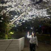 ヒメ日記 2026/04/16 08:02 投稿 リンネ Club Hearts