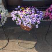 ヒメ日記 2025/07/26 00:18 投稿 みさと 和楽(わらく)