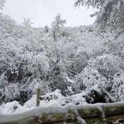 ヒメ日記 2026/01/11 23:32 投稿 深瀬（ふかせ） 熟女の風俗最終章 名古屋店