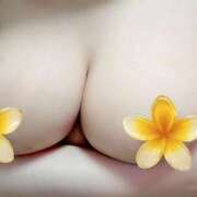 ヒメ日記 2026/02/06 14:12 投稿 深瀬（ふかせ） 熟女の風俗最終章 名古屋店