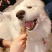 ヒメ日記 2025/06/13 18:03 投稿 るりの 丸妻 横浜本店