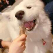 ヒメ日記 2025/08/24 13:10 投稿 るりの 丸妻 横浜本店