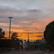 ヒメ日記 2025/09/03 19:55 投稿 るりの 丸妻 横浜本店