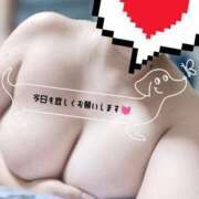 ヒメ日記 2025/11/04 13:25 投稿 るりの 丸妻 横浜本店