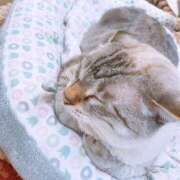 ヒメ日記 2026/01/09 17:07 投稿 るりの 丸妻 横浜本店