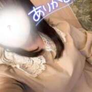 ヒメ日記 2026/01/13 12:58 投稿 ☆ねる(23)☆業界未経験 ◆プラウディア◆AAA級素人娘在籍店