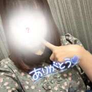 ヒメ日記 2026/03/12 11:26 投稿 ☆ねる(23)☆業界未経験 ◆プラウディア◆AAA級素人娘在籍店