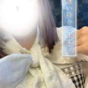 ヒメ日記 2026/03/17 18:48 投稿 ☆ねる(23)☆業界未経験 ◆プラウディア◆AAA級素人娘在籍店