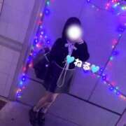 ヒメ日記 2026/03/20 13:58 投稿 ☆ねる(23)☆業界未経験 ◆プラウディア◆AAA級素人娘在籍店