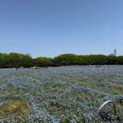 ヒメ日記 2025/06/30 21:15 投稿 西木野 まき アソビザ女子社員 イメクラ部