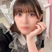 はるな 新作続々 チューリップ福井別館