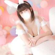 ヒメ日記 2025/11/17 23:54 投稿 はるな チューリップ福井本館