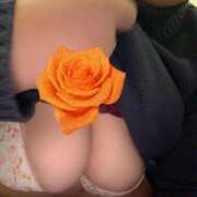 ヒメ日記 2025/12/24 13:45 投稿 ともえ 丸妻 厚木店