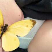 ともえ まだお待ちしております〜😘 丸妻 厚木店