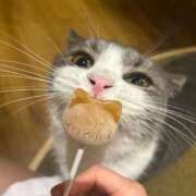 ヒメ日記 2025/07/12 14:47 投稿 るみ【新人】 LOVE MISSILE（ラブミサイル）