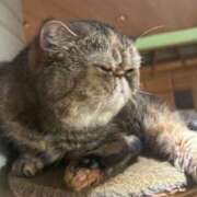 ヒメ日記 2025/07/25 17:17 投稿 るみ【新人】 LOVE MISSILE（ラブミサイル）