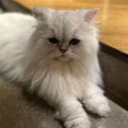 ヒメ日記 2025/08/28 23:07 投稿 るみ【新人】 LOVE MISSILE（ラブミサイル）