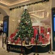 ヒメ日記 2025/11/21 12:36 投稿 みな 奥様さくら日本橋店