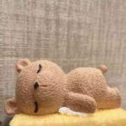 ヒメ日記 2026/01/13 11:36 投稿 みな 奥様さくら日本橋店