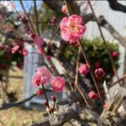 ヒメ日記 2026/02/16 11:26 投稿 みな 奥様さくら日本橋店