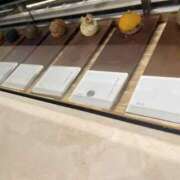 ヒメ日記 2025/11/03 11:16 投稿 みな club さくら日本橋店