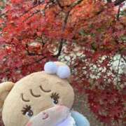 ヒメ日記 2025/11/29 11:07 投稿 みな club さくら日本橋店