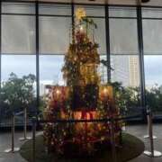 ヒメ日記 2025/12/24 11:40 投稿 みな club さくら日本橋店