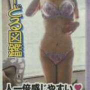 ヒメ日記 2026/06/03 11:36 投稿 みな club さくら日本橋店