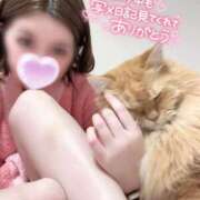 ヒメ日記 2026/04/03 18:55 投稿 エミリ 大宮人妻デリヘル～大人の事情～